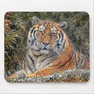 Tiger Royal Mousepad Muismat