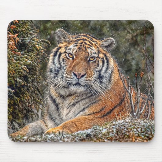 Tiger Royal Mousepad Muismat (Voorkant)