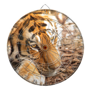 Tiger rust dartbord