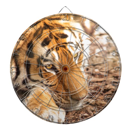 Tiger rust dartbord (Voorkant)
