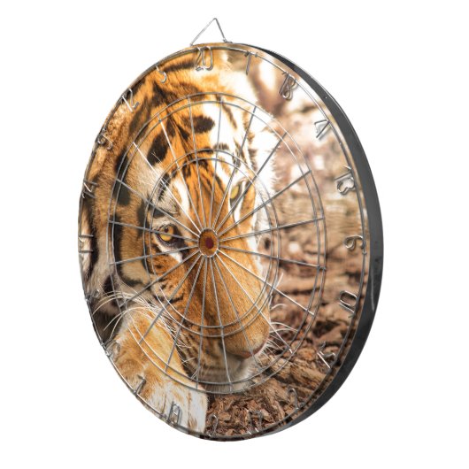 Tiger rust dartbord (Voorkant Rechts)