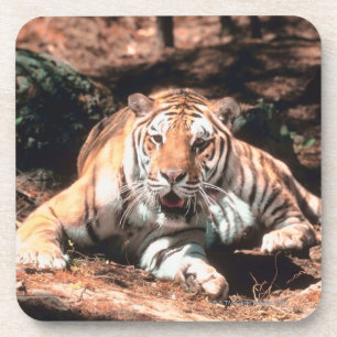Tiger rust drankjes onderzetter