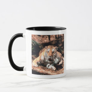 Tiger rust mok