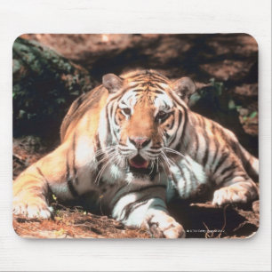 Tiger rust muismat