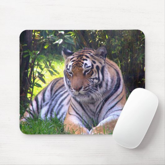 Tiger rust muismat (Met muis)