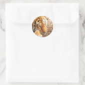 Tiger rust ronde sticker (Tas)