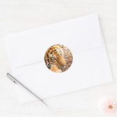 Tiger rust ronde sticker (Envelop)