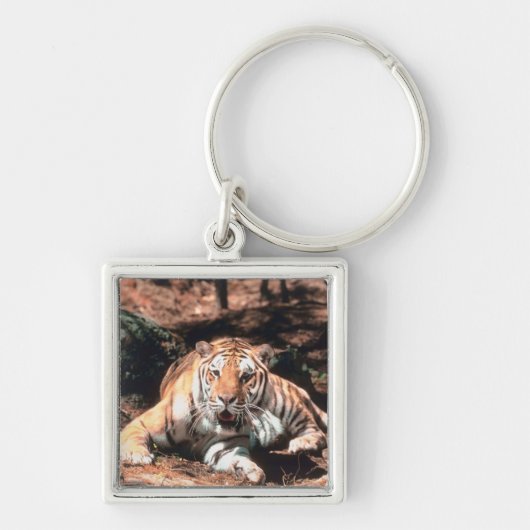 Tiger rust sleutelhanger (Voorkant)