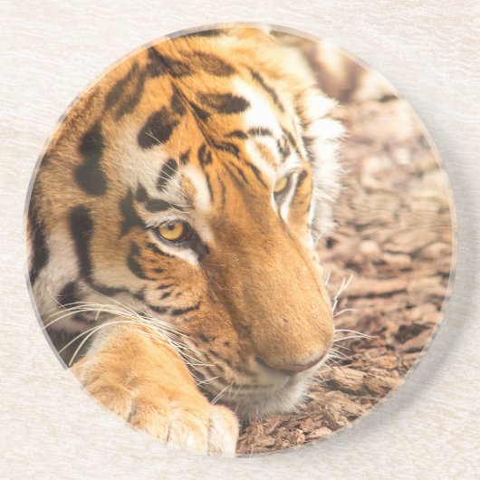 Tiger rust zandsteen onderzetter (Voorkant)