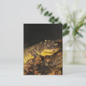 Tiger Salamander Briefkaart (Staand voorkant)
