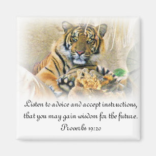 Tiger,Seeking_ Magneet