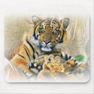 Tiger,Seeking_ Muismat