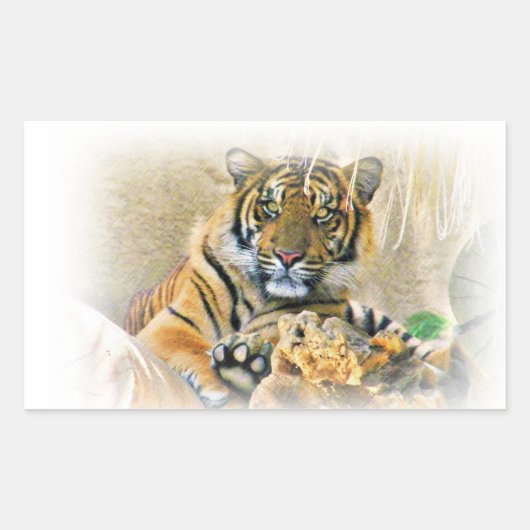 Tiger,Seeking_ Rechthoekige Sticker (Voorkant)