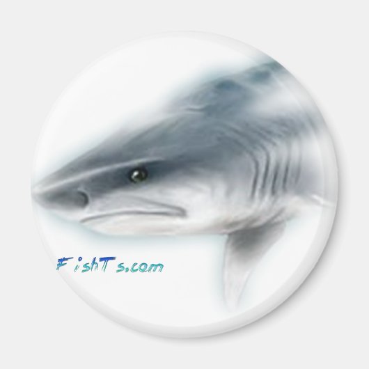 Tiger Shark Head Magneet (Voorkant)