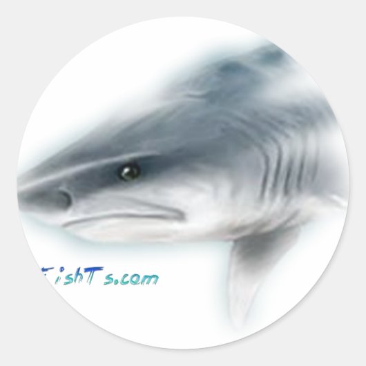 Tiger Shark Head Ronde Sticker (Voorkant)