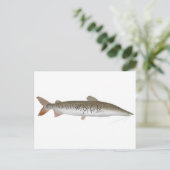 Tiger Shovelnose Catfish Briefkaart (Staand voorkant)