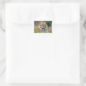 Tiger Smile Ronde Sticker (Tas)