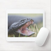 Tiger Snake Muismat (Met muis)