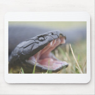 Tiger Snake Muismat