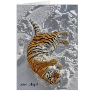 Tiger "Snow Angel"