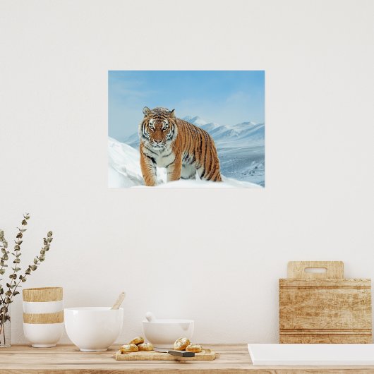 Tiger Snow Mountains Winter Natuur Foto afdrukken Poster (Keuken)