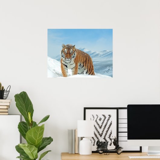 Tiger Snow Mountains Winter Natuur Foto afdrukken Poster (Thuiskantoor)