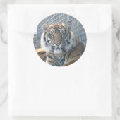 Tiger Sticker (Tas)