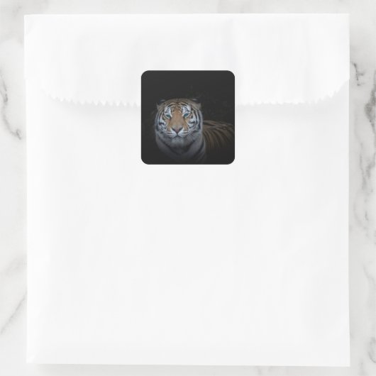 Tiger Sticker (Tas)
