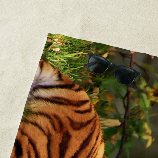 TIGER STRANDLAKEN (In situ)