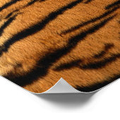 Tiger Stripe Fur Print (Hoek)