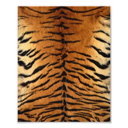 Tiger Stripe Fur Print Foto Afdruk (Voorkant)