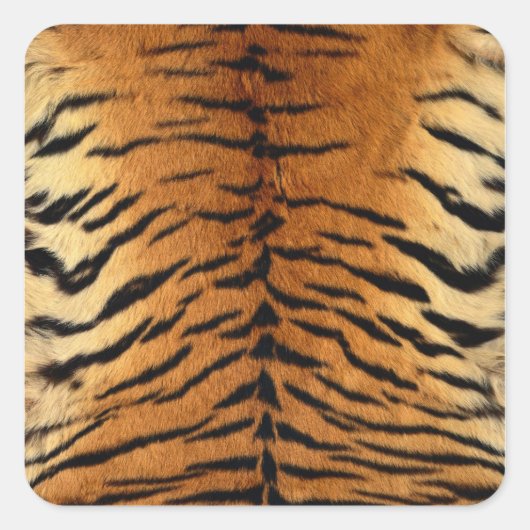 Tiger Stripe Fur Print Vierkante Sticker (Voorkant)