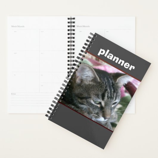 Tiger Stripe Kat Planner (Display)