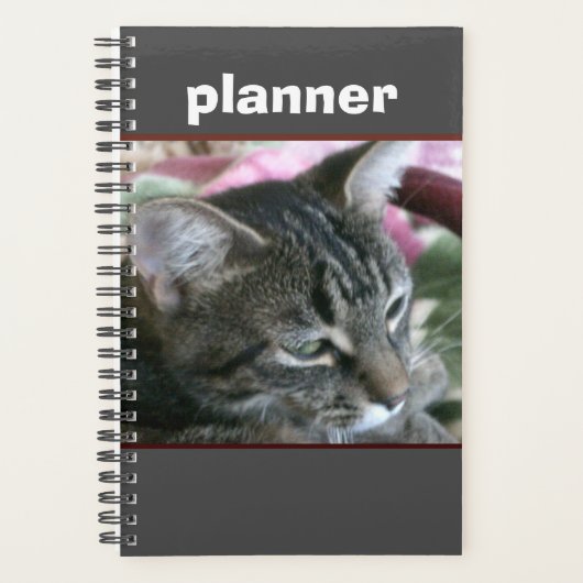 Tiger Stripe Kat Planner (Voorkant)