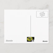 Tiger Swallowtail Butterflies over Joe Pye Weed Briefkaart (Achterkant)