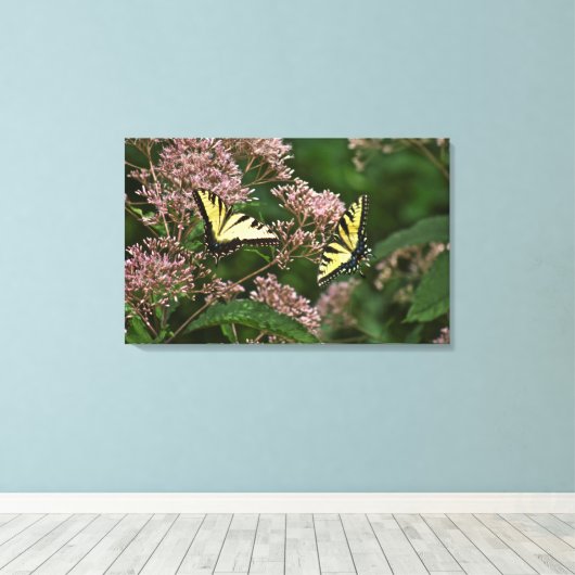 Tiger Swallowtail Butterflies over Joe Pye Weed Canvas Afdruk (Insitu (Houten vloer))