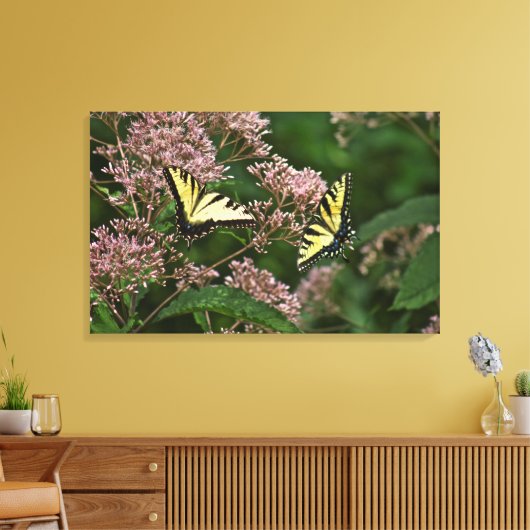 Tiger Swallowtail Butterflies over Joe Pye Weed Canvas Afdruk (Insitu (Woonkamer))