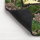 Tiger Swallowtail Butterflies over Joe Pye Weed Muismat (Hoek)