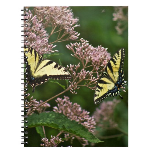 Tiger Swallowtail Butterflies over Joe Pye Weed Notitieboek (Voorkant)