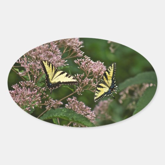 Tiger Swallowtail Butterflies over Joe Pye Weed Ovale Sticker (Voorkant)