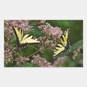 Tiger Swallowtail Butterflies over Joe Pye Weed Rechthoekige Sticker