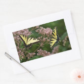 Tiger Swallowtail Butterflies over Joe Pye Weed Rechthoekige Sticker (Envelop)