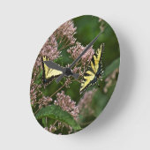 Tiger Swallowtail Butterflies over Joe Pye Weed Ronde Klok (Hoek)