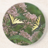 Tiger Swallowtail Butterflies over Joe Pye Weed Zandsteen Onderzetter (Voorkant)