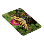 Tiger Swallowtail Butterfly 3"x4" Magnet Magneet (Rechterzijde)