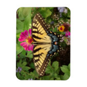 Tiger Swallowtail Butterfly 3"x4" Magnet Magneet (Verticaal)