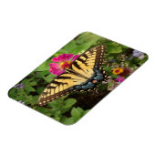 Tiger Swallowtail Butterfly 3"x4" Magnet Magneet (Linkerzijde)
