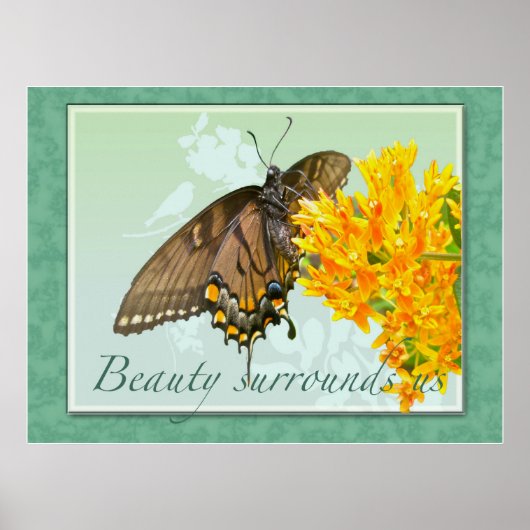 Tiger Swallowtail Butterfly Beauty omringt ons Poster (Voorkant)