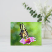 Tiger Swallowtail Butterfly Briefkaart (Staand voorkant)