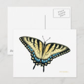 Tiger Swallowtail Butterfly Briefkaart (Voorkant / Achterkant)